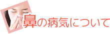 鼻の病気について